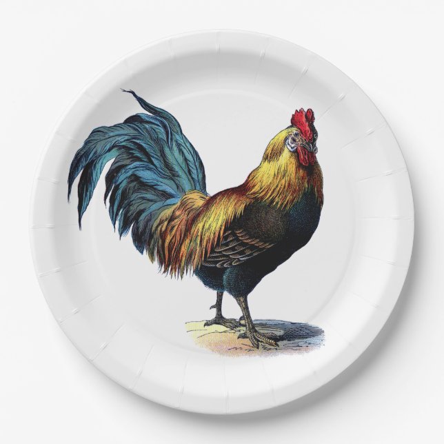 Vintages Bild eines farbigen Rooster Country Chick Pappteller (Vorderseite)