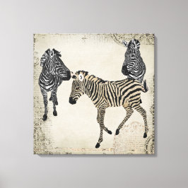 Vintages Black & White Zebra Trio Leinwanddruck