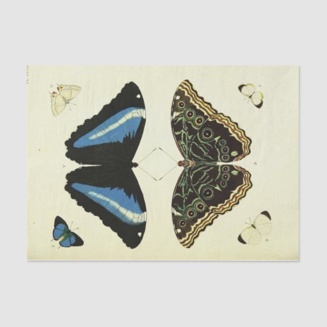 Vintages Blue Butterfly Ephemera Dekoupage Script Seidenpapier (Vorderseite)