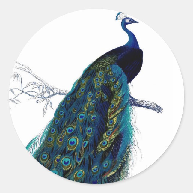 Vintages Blue Elegante Runder Aufkleber (Vorderseite)