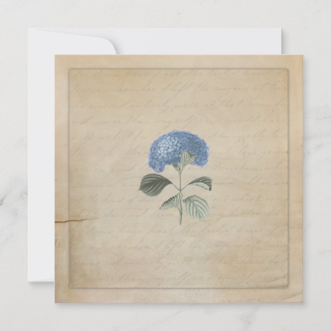 Vintages Blue Hydrangea Hochzeitsfeier Einladung (Vorderseite)