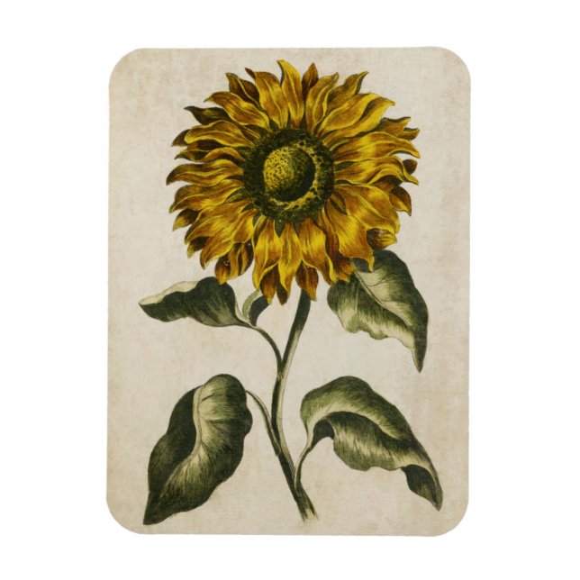Vintages Blumenmagazin Magnet (Vertikal)