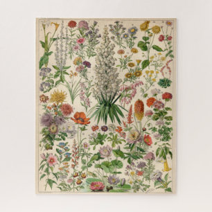 Vintages Botanisches Blume-Poster