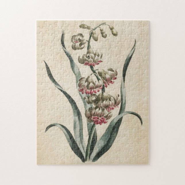 Vintages botanisches BlumenHyakinth (Vertikal)