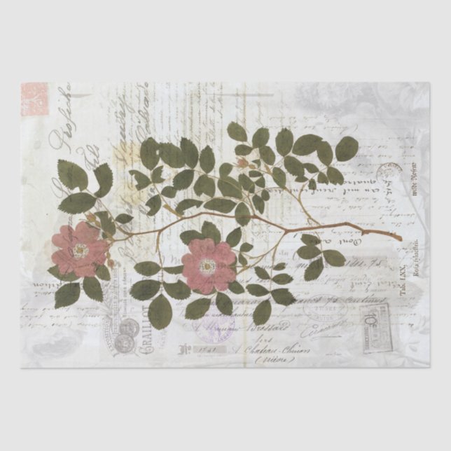 Vintages botanisches Collage - Gewebepapier Seidenpapier (Vorderseite)