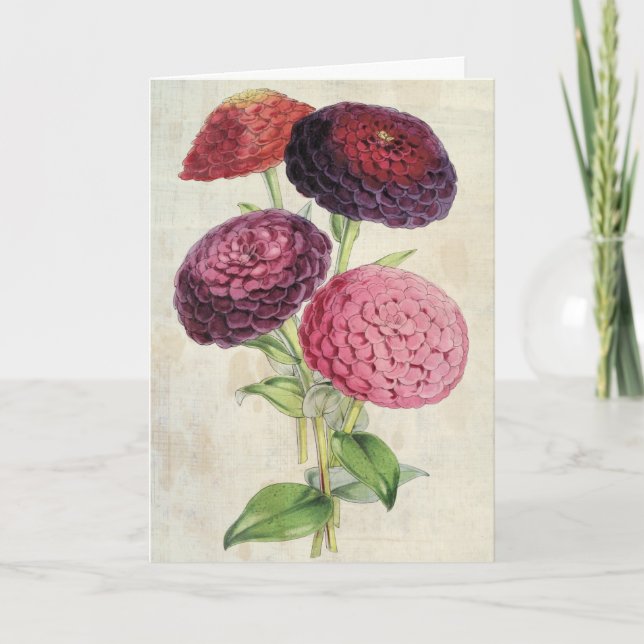 Vintages botanisches Doppelstockbecken Lila Zinnia Karte (Vorderseite)