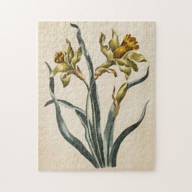Vintages botanisches florales Daffodil (Vertikal)