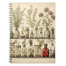 Vintages Botanisches Kräuterrezeptorenblatt