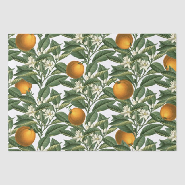 Vintages botanisches Orange Fruchtblossom Muster Seidenpapier (Vorderseite)