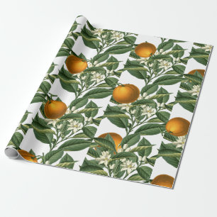 Vintages botanisches Orangenfruchtmuster Geschenkpapier