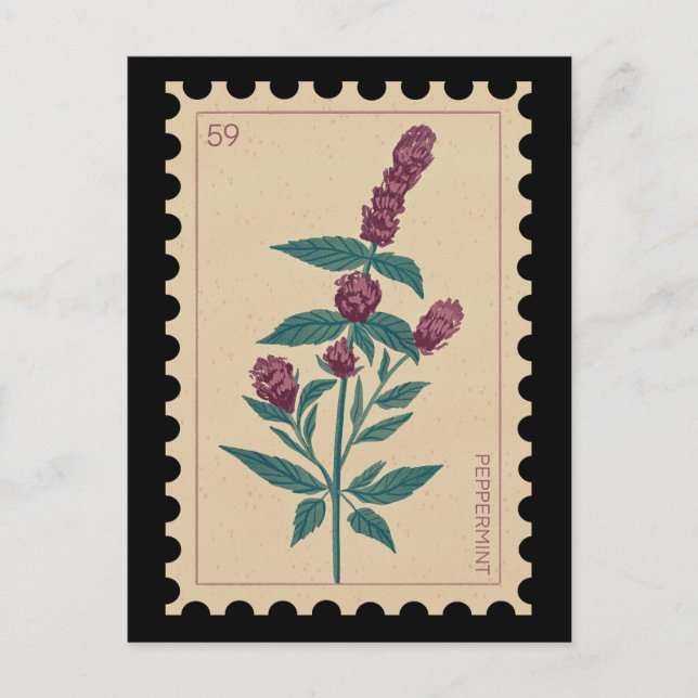 Vintages botanisches Peppermint Postkarte (Vorderseite)