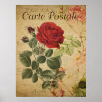 Vintages botanisches Poster - Französische Postkar