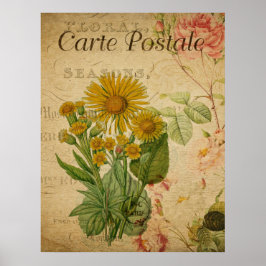 Vintages Botanisches Poster - Marigold