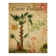 Vintages botanisches Poster - Palme Tree