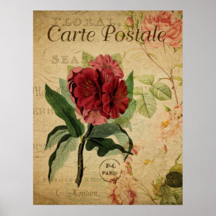 Vintages botanisches Poster - Rhododenron