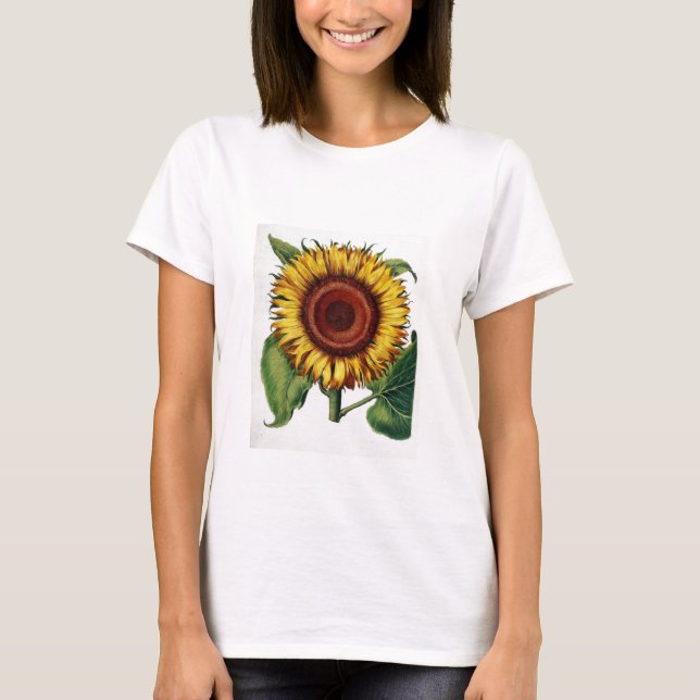Vintages botanisches - Sonnenblume, T-Shirt (Vorderseite)