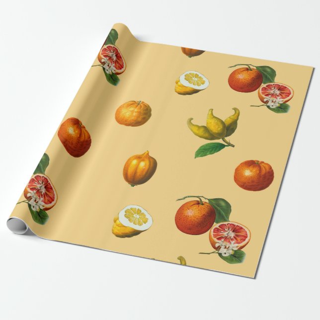 Vintages botanisches Zitruspapier Geschenkpapier (Ungerollt)