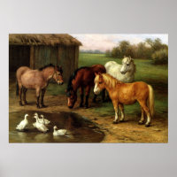 Vintages braunes Weiße Pferd und Enten