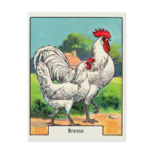 Vintages Bresse-Huhn