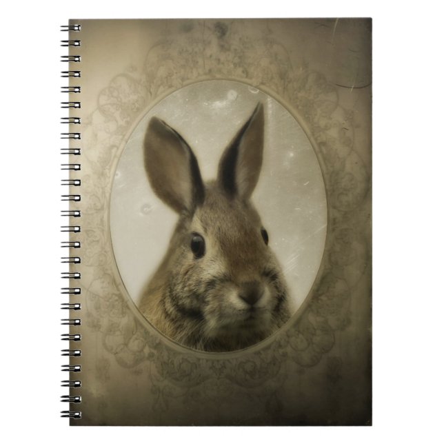 Vintages Bunny Portrait Notizblock (Vorderseite)