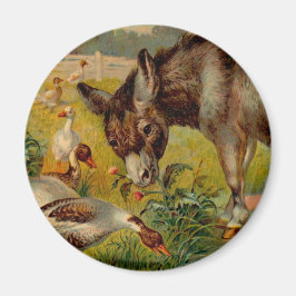 Vintages Burro mit Gänsen Magnet