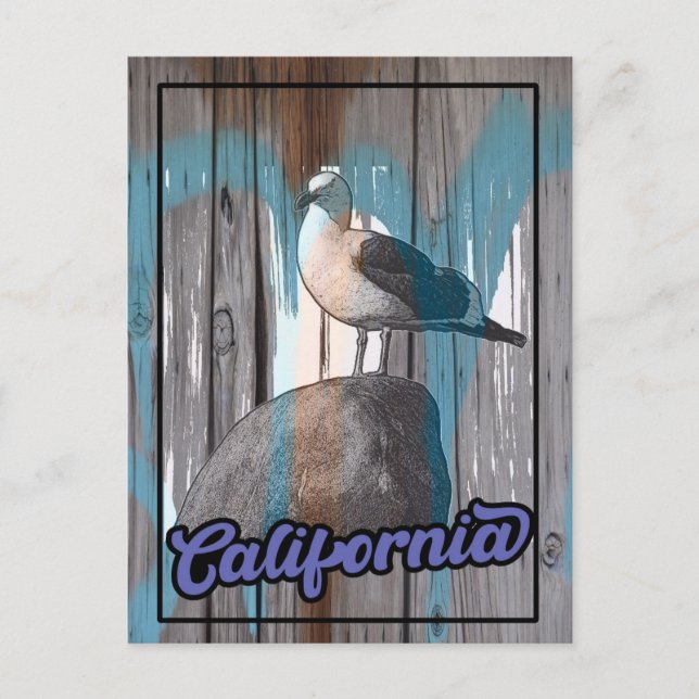 Vintages California Beach Seagull Trail Postkarte (Vorderseite)