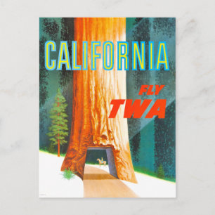 Vintages California Redwoods Travel Postkarte