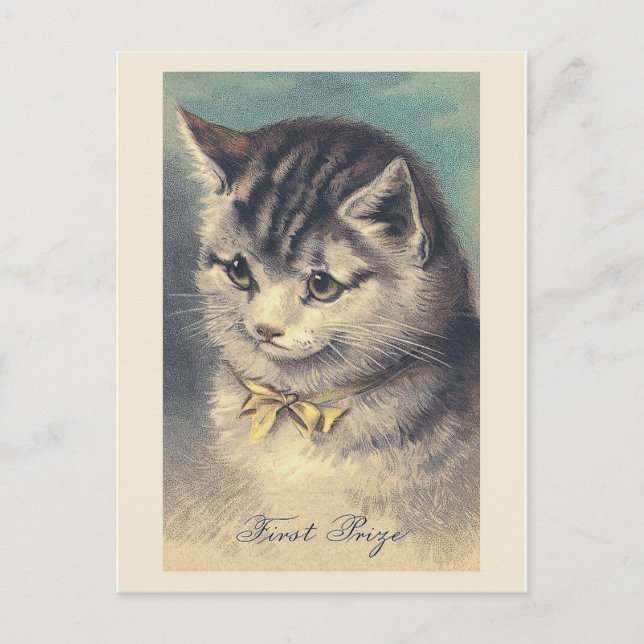 Vintages Cat Portrait Postcard "First Prize" Postkarte (Vorderseite)