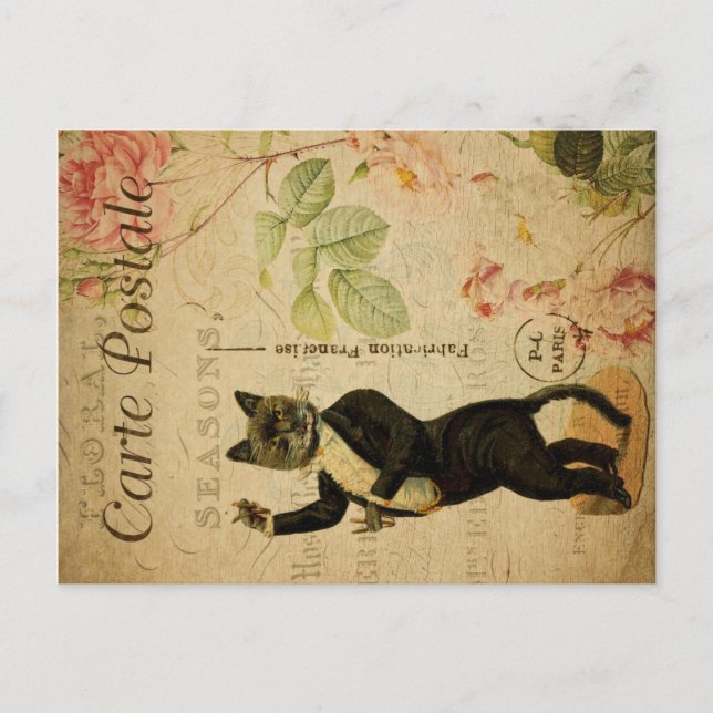 Vintages Cat Theme | Postale | Katzentanz Postkarte (Vorderseite)