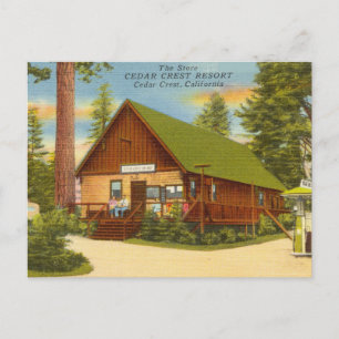Vintages Cedar-Wappen, Kalifornien Postkarte
