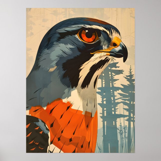 Vintages Closeup-Portrait eines Cooper's Hawk Poster (Vorne)