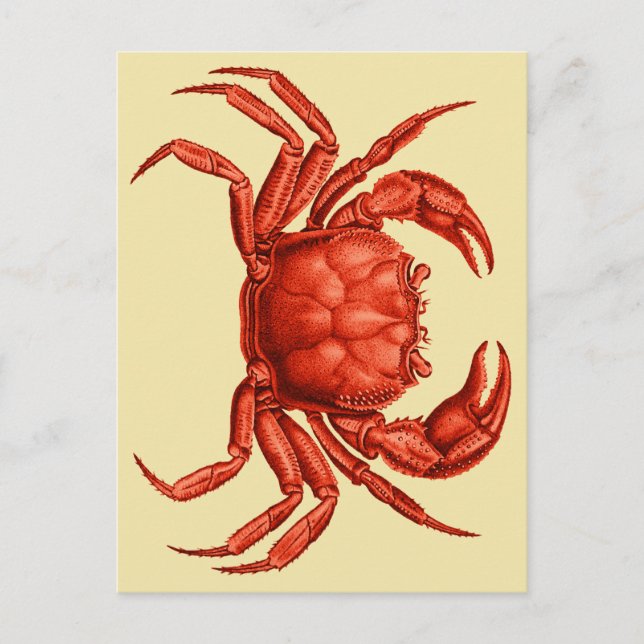 Vintages Craps-Design Postkarte (Vorderseite)