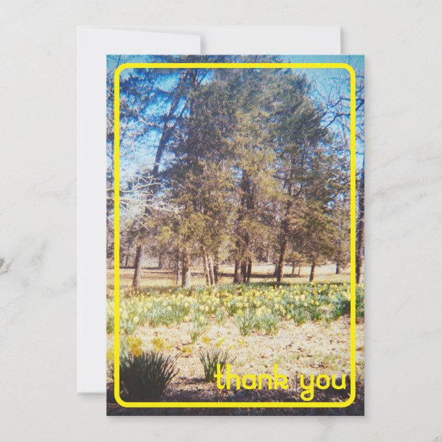 Vintages Daffodil Dankeschön Karte (Vorderseite)