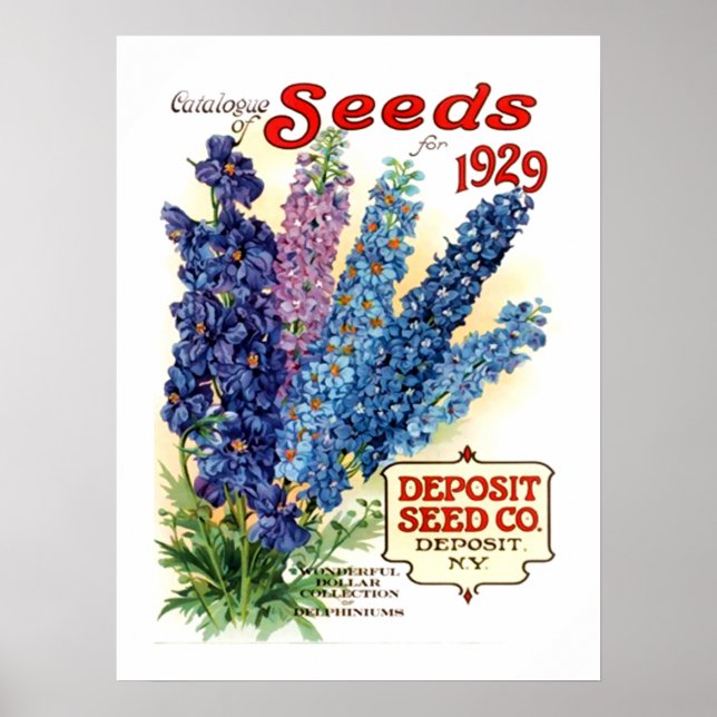 Vintages Delphinienfutter Poster (Vorne)