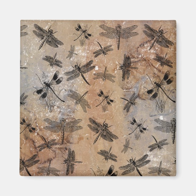 Vintages Drachenfliegengestörtes Entomologie-Muste Magnet (Vorne)
