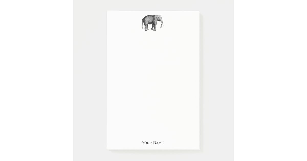 Elefant Zeichnen