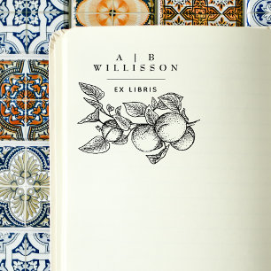 Vintages elegantes Botanisches Orangen Ex Libris B Gummistempel