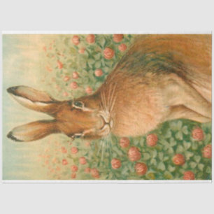 Vintages elegantes, modernes Ostertissue Seidenpapier