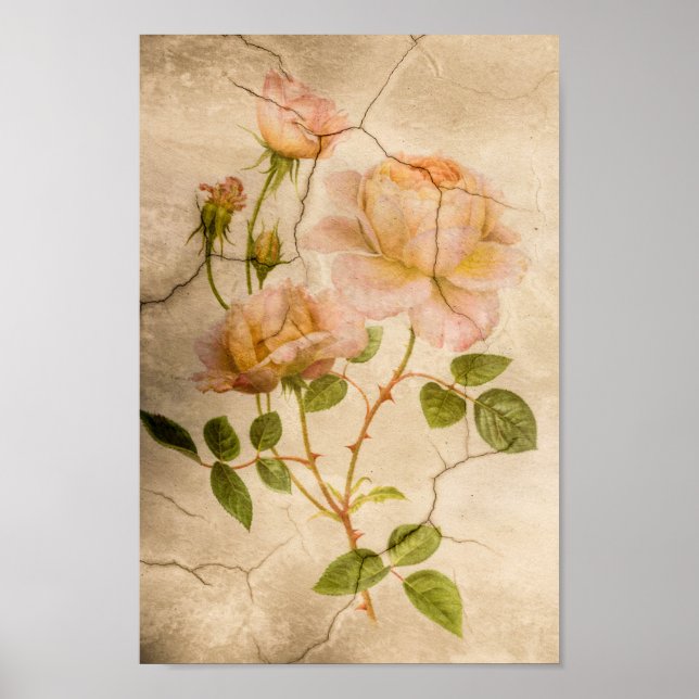 Vintages elegantes Shabby Chic Rosenblass Poster (Vorne)