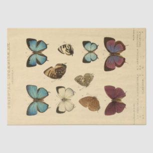 Vintages Ephemera Script Blue Butterfly Decoute Seidenpapier
