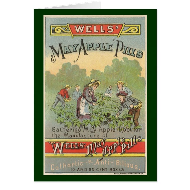 Vintages Etikett Art, Wells Mai Appillen (Vorne)