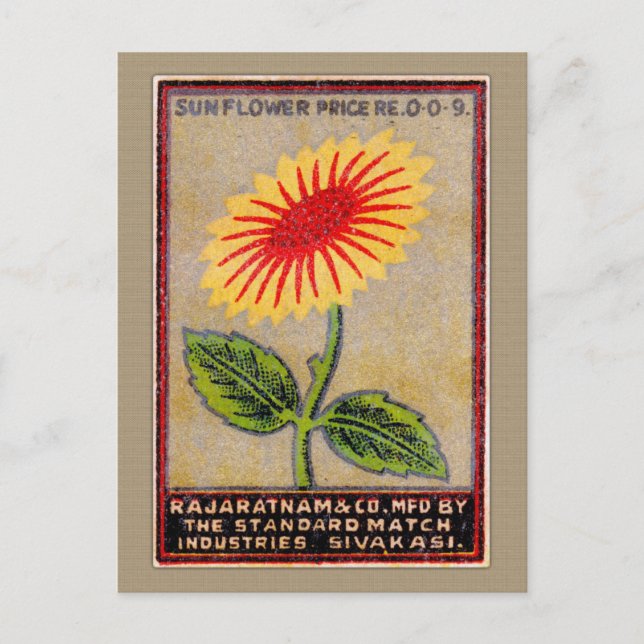 Vintages Etikett für Sonnenblumen Postkarte (Vorderseite)