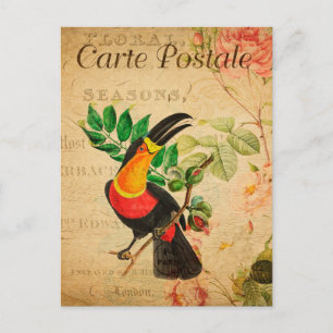 Vintages Exotic Tropical Toucan Bird Floral Postkarte