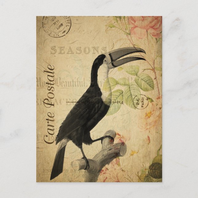 Vintages Exotic Tropical Toucan Bird Floral Postkarte (Vorderseite)