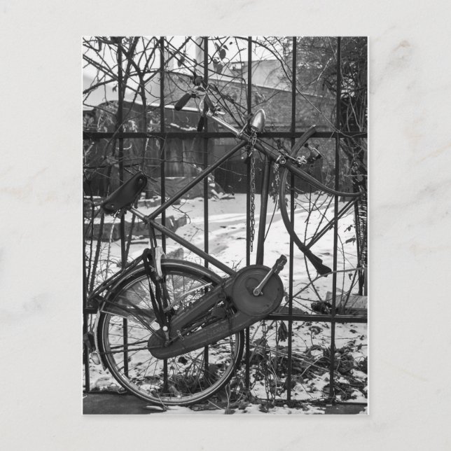 Vintages Fahrrad Postkarte (Vorderseite)
