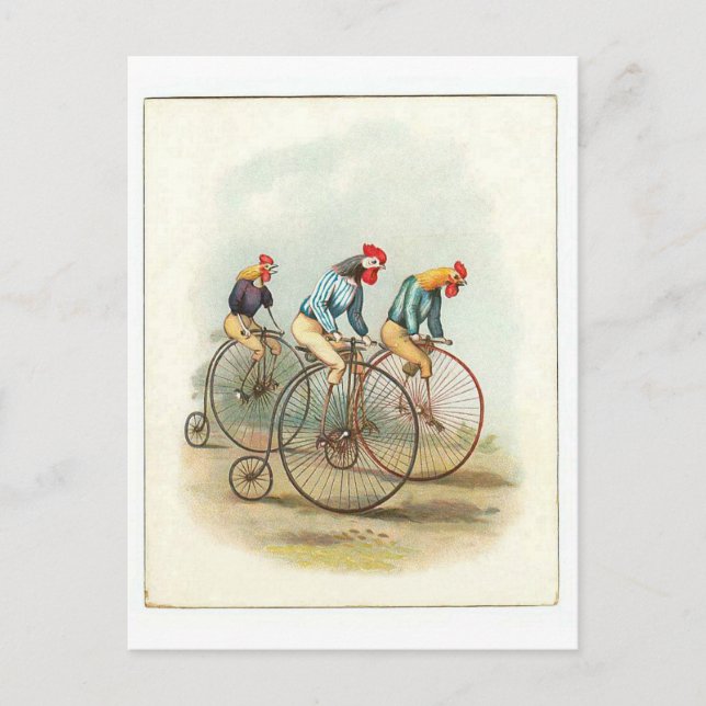 Vintages Fahrradposter, Pennyfarthing Rooster Postkarte (Vorderseite)