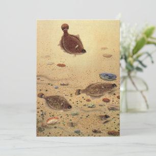 Vintages Flancs Plat Fish Fishing Invitation