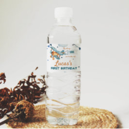 Vintages Flugzeug Erste Geburtstagswasserflasche