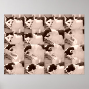 Vintages Foto aus Schwarz und Weiß Poster