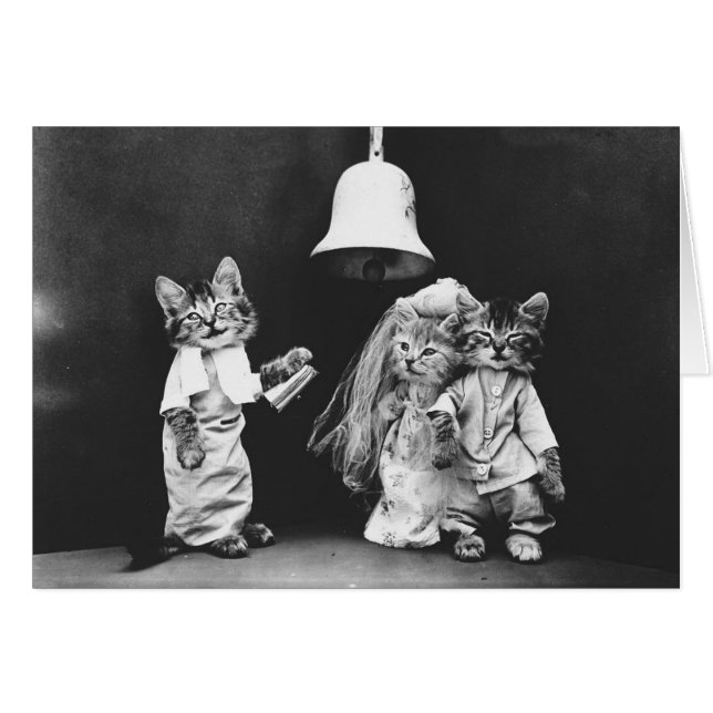 Vintages Foto - eine Kitty-Katzen-Hochzeit, (Vorderseite (Horizontal))